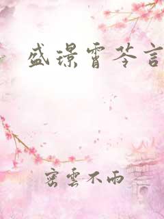 盛璟霄芩言小说