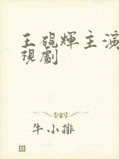 王砚辉主演的电视剧