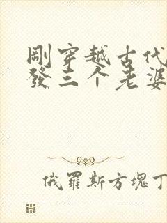 刚穿越古代官府发三个老婆的小说