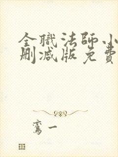 全职法师小说无删减版免费阅读