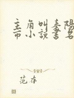 主角叫秦阳的都市小说书名
