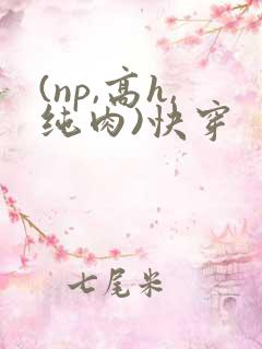 (np,高h,纯肉)快穿