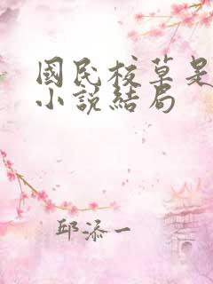 国民校草是女生小说结局