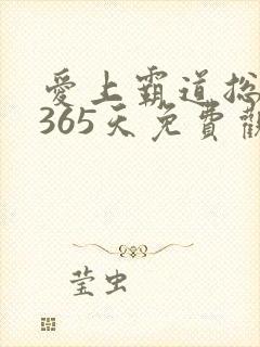 爱上霸道总裁的365天免费观看
