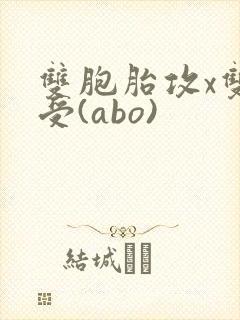 双胞胎攻x双性受(abo)