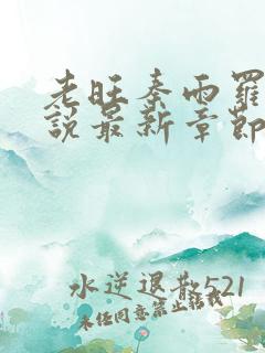 老旺秦雨罗明小说最新章节更新内容