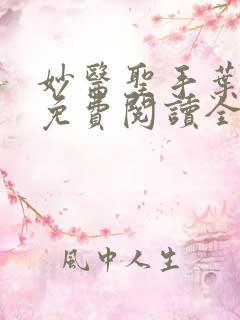 妙医圣手叶皓轩免费阅读全文