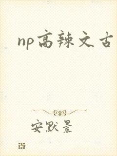 np高辣文古文