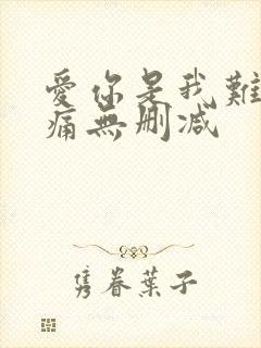 爱你是我难言的痛无删减