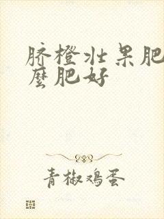 脐橙壮果肥施什么肥好