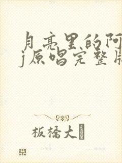 月亮里的阿妹dj原唱完整版