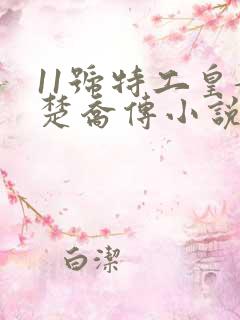 11号特工皇妃楚乔传小说
