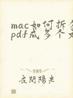 mac如何拆分pdf成多个文件