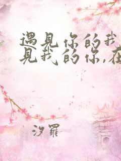 遇见你的我,遇见我的你,在同样的深夜里歌词