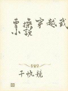 曹操穿越武大郎小说