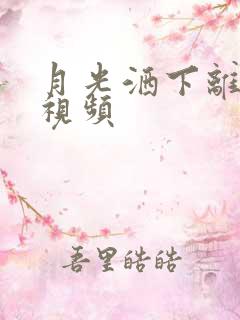 月光洒下离人巷视频