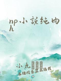 np小说纯肉高h