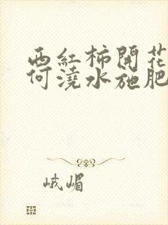 西红柿开花期如何浇水施肥