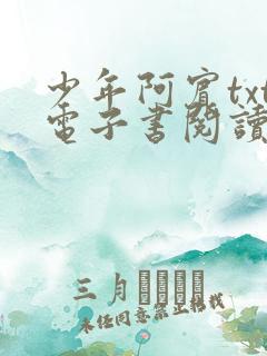 少年阿宾txt电子书阅读