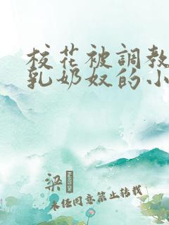 校花被调教成大乳奶奴的小说