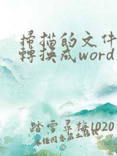 扫描的文件怎么转换成word电子版