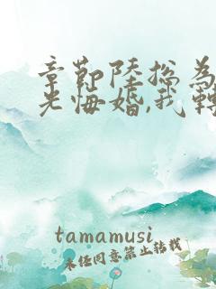 章节陆总为白月光悔婚,我转身闪婚了
