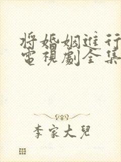 将婚姻进行到底电视剧全集在线观看