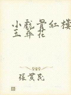小戏骨红楼梦黛玉葬花