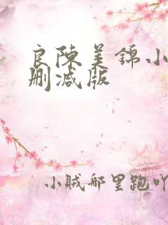 良陈美锦小说无删减版
