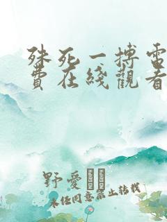殊死一搏电影免费在线观看