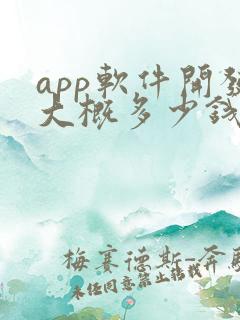 app软件开发大概多少钱