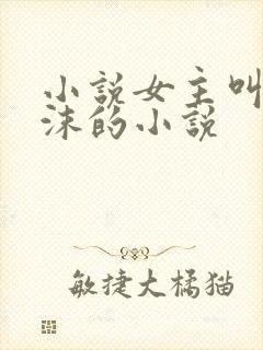 小说女主叫乔以沫的小说