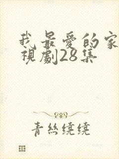 我最爱的家人电视剧28集