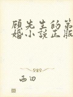 顾先生的第一宠婚小说正版