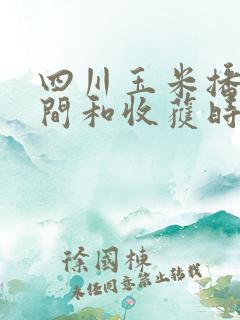 四川玉米播种时间和收获时间