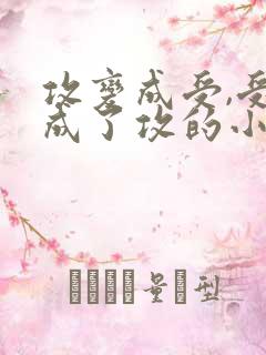 攻变成受,受变成了攻的小说