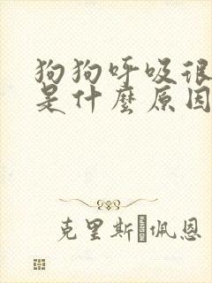 狗狗呼吸很急促是什么原因