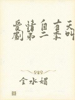 爱情自有天意短剧第二季叫什么