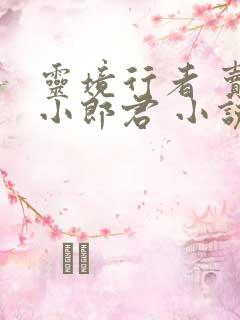 灵境行者 卖报小郎君 小说