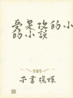 受是攻的小舅子的小说
