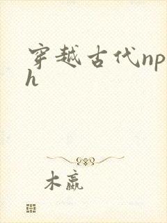 穿越古代np高h