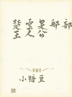楚云是哪部小说主人公