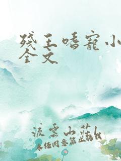 残王嗜宠小痞妃全文