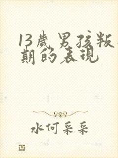 13岁男孩叛逆期的表现