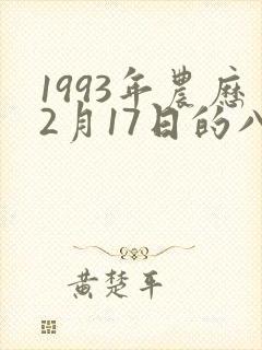 1993年农历2月17日的八字