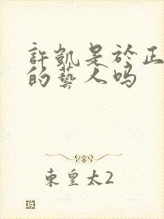 许凯是于正旗下的艺人吗