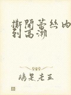 撕开蕾丝内裤揉到高潮
