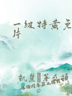 一级特黄免费大片