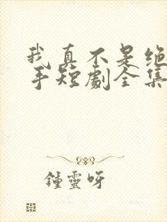 我真不是绝世高手短剧全集