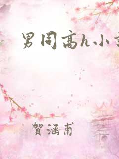 男同高h小说